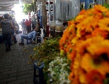 Esta planta se puede adquirir en tiendas naturistas. EL INFORMADOR / ARCHIVO