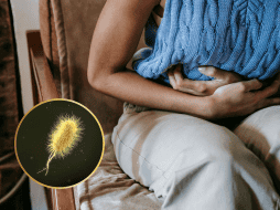 La bacteria E. coli puede causar infección incluso en pequeñas cantidades, lo que significa que puedes enfermarte al comer carne de hamburguesa poco cocida o beber agua contaminada. ESPECIAL / Pexels