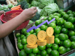 En cuanto a la canasta básica de 24 productos, se reportó este costo promedio. EL INFORMADOR / ARCHIVO