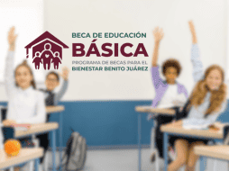 Este servicio es parte del compromiso de la coordinación para asegurar que el proceso sea fluido y accesible para todos los beneficiarios. Unsplash