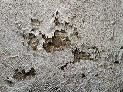 De este modo, el salitre en las paredes es un problema común, pero manejable si se toman las medidas adecuadas. EL INFORMADOR / O. Álvarez