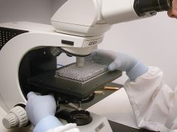 En México, cada año se detectan más de 25 mil casos de cáncer de próstata. UNSPLASH / CDC