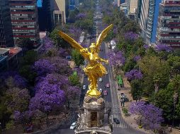 México de contrastes: una de sus ciudades encabeza la lista de las más agradables, pero tres están en las menos amigables. NTX / ARCHIVO