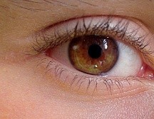 Estos productos para el cuidado de tus pestañas son, además de naturales, muy prácticos y económicos. PIXABAY/ uroburos