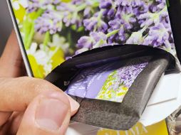 Además, se trata de un producto asequible y económico; se puede sugerir como tratamiento natural complementario. EL INFORMADOR / O. Álvarez