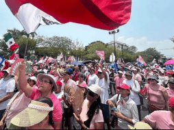 La protesta fue convocada por la llamada Marea Rosa. SUN/ARCHIVO.