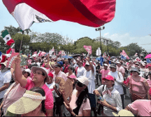 La protesta fue convocada por la llamada Marea Rosa. SUN/ARCHIVO.