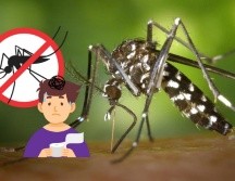 También es importante estar atento a los síntomas del dengue, como fiebre alta, dolor detrás de los ojos, dolor en las articulaciones y músculos, erupción cutánea y sangrado leve. CANVA