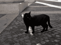 ¿Cómo es que se le considera de mala suerte al martes 13? AP /ARCHIVO