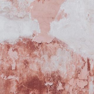 Así puedes diferenciar el salitre y la humedad en las paredes de una casa