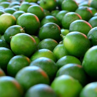 Limoneros hacen paro en Michoacán; esto se sabe