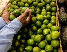 En Jalisco se produce la mayor cantidad de limón persa que se vende más económico que el limón con semilla. EL INFORMADOR/ J. Urrutia.