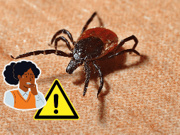 La conciencia sobre estas enfermedades y las medidas preventivas adecuadas pueden ayudar a protegerse contra los riesgos asociados con las garrapatas y asegurar una mejor salud y bienestar. CANVA