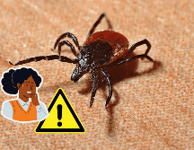 La conciencia sobre estas enfermedades y las medidas preventivas adecuadas pueden ayudar a protegerse contra los riesgos asociados con las garrapatas y asegurar una mejor salud y bienestar. CANVA