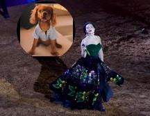 El es chichi, el único 