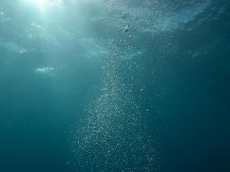 Sweetman afirma que el oxígeno oscuro podría sustentar la vida en el fondo del océano. Pexels / Berend de Kort