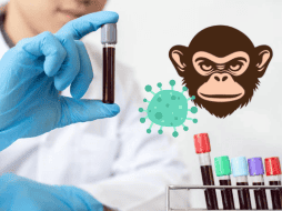 El brote actual de mpox, que comenzó en la República Democrática del Congo y se ha expandido por África, ha llevado a la Unión Africana a declarar una 