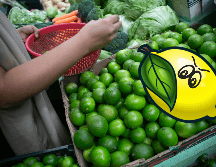 Los precios del limón se incrementarán por el paro de productores de limón en Michoacán, a pesar de que se espera una excelente cosecha debido a la temporada de lluvias. EL INFORMADOR / ARCHIVO