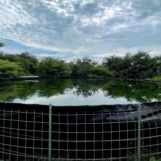 Apoya Sader a productores en la construcción de ollas de captación de agua