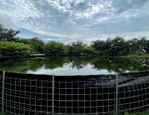 Las ollas de captación son complemento en las unidades de producción para trabajar bajo un modelo sostenible. CORTESÍA.