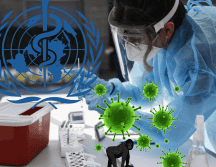 Esto es lo que dice la OMS de la viruela del mono sobre si es o no una ITS. EFE/ ARCHIVO/ ESPECIAL