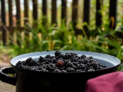 Este fruto es bajo en calorías y, debido a su alta cantidad de fibra, también es un excelente aliado para quienes buscan perder peso. Pixabay.