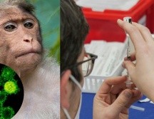 En la actualidad, hay dos vacunas disponibles contra el virus que pueden ayudar a prevenir la enfermedad. Unsplash