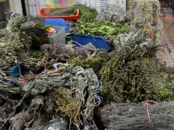 Esta planta ayuda a reducir la retención de líquidos y estimular el funcionamiento de la vesícula biliar y el hígado. EL INFORMADOR / ARCHIVO