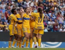 América, Rayadas y Tigres son los clubes que representarán al Circuito Rosa; las Amazonas y Albiazules comparten el Grupo A. IMAGO7