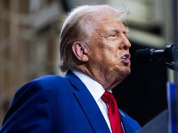 El republicano también dijo durante un mitin en Howell, Michigan, que enviará a los migrantes 