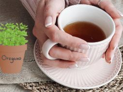 Incorporar el té de orégano en tu dieta puede ofrecer múltiples beneficios para la salud, desde proporcionar un impulso antioxidante hasta apoyar la digestión y combatir infecciones. CANVA