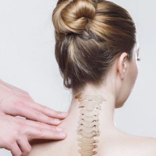 ¿Cuál es el llamado "músculo de las emociones"?