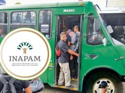 Con estos documentos y cumpliendo con los requisitos, los adultos mayores pueden acceder a la credencial del INAPAM y disfrutar de todos los beneficios que esta ofrece, incluyendo el transporte público gratuito y descuentos en diversos servicios. INFORMADOR/ARCHIVO INAPAM