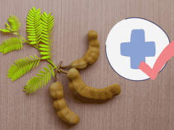 Consumir tamarindo ofrece múltiples beneficios para tu cuerpo. Unsplash / Canva