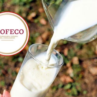 Profeco señala la MEJOR leche del mercado y enseña a identificar una buena