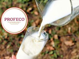 Profeco identificó problemas en algunas marcas como Leche Querétaro y LOS 19 HERMANOS. PROFECO