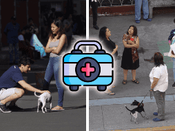 Contar con una mochila de emergencia ante un temblor siempre lista es fundamental. EFE / ARCHIVO