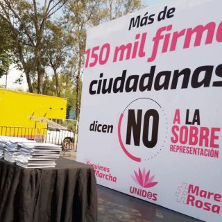Marea Rosa entrega 150 mil firmas ante el TEPJF
