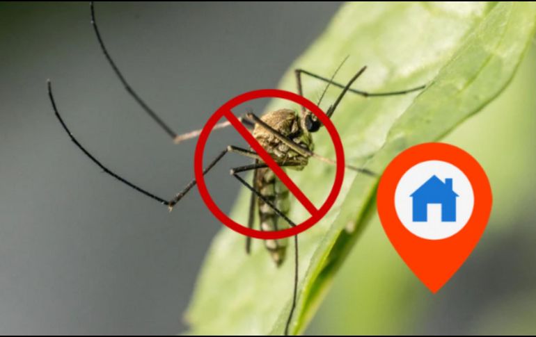 Para problemas más serios, puede ser necesario combinar métodos o buscar soluciones adicionales. Sin embargo, para una prevención sencilla y diaria, el vinagre de manzana es una excelente opción. CANVA