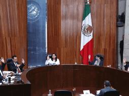 El anteproyecto será presentado por el magistrado Felipe de la Mata Pizaña.  X/@TEPJF_informa