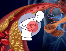 Esta semilla también ha sido usada en la medicina tradicional para tratar quemaduras y sanar dolores reumáticos. ESPECIAL/ CANVA