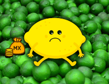 El precio del limón en Guadalajara está entre los 40.00 y 50.00 pesos por kilo. EL INFORMADOR / ARCHIVO