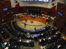 La bancada de Morena eligió a Ifigenia Martínez como presidenta de la Mesa Directiva para el primer periodo ordinario de sesiones de la 66 legislatura. SUN