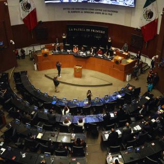 Morena elige su presidenta en la Cámara de Diputados