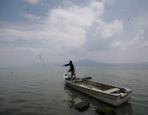 Chapala es el lago más grande de México, y frecuentemente se ve amenazado. EL INFORMADOR/ ARCHIVO