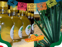 El mezcal es una bebida 100% mexicana. ESPECIAL/Imagen de Angel Chavez en Pixabay/Imagen de Efrain Hernandez en Pixabay