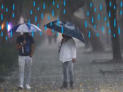 Este es el pronóstico de lluvias para hoy domingo 01 de septiembre de 2024. SUN / ARCHIVO