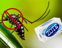 Muchas soluciones diseñadas para combatir los mosquitos a menudo no cumplen con las expectativas y, desafortunadamente. ZOTE