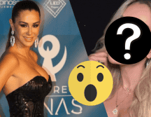 A sus 47 años, Ninel Conde decidió someterse a más cirugías estéticas. NOTIMEX/ARCHIVO ESPECIAL/INSTAGRAM @ninelconde