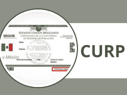 Para obtener tu CURP certificada, sigue estos pasos sencillos. Puedes solicitarla en línea a través del portal oficial del gobierno mexicano. CURP